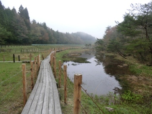 湿原の風景