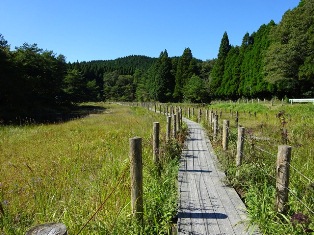 樫原湿原の風景