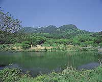 八幡岳の写真