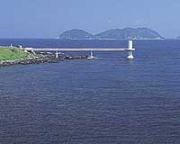 波戸岬の写真