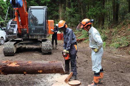 林業就業促進体験研修