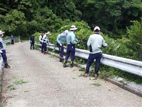 除草作業