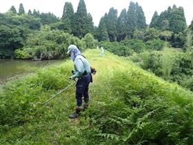 溜池付近の草刈りの様子