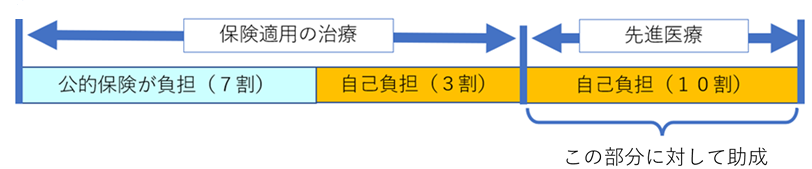 不妊（先進）助成対象