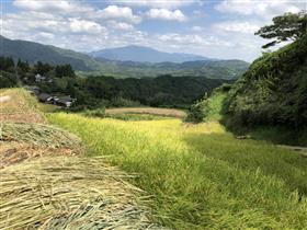 棚田から眺めた風景