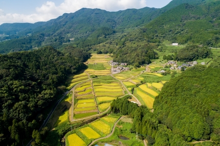 中田棚田