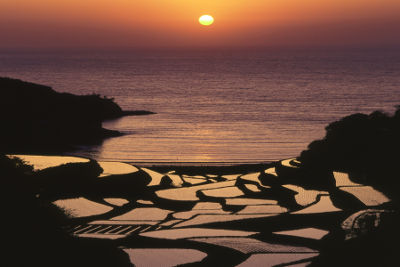 浜野浦の棚田