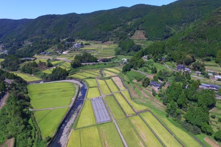 川内野の棚田