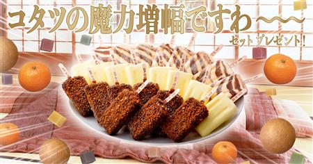 「コタツの魔力増幅ですわ~」セット(大)