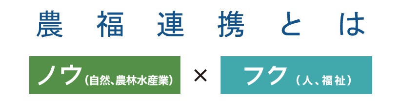ノウフクとは