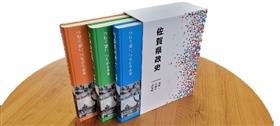 佐賀県政史1976-2019書影