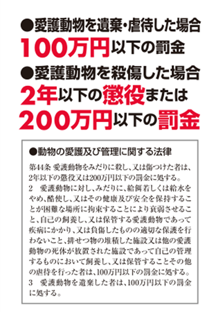 動物の遺棄は罰則があります