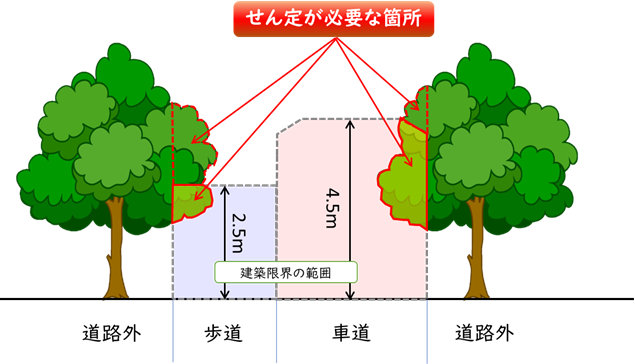 せん定が必要な箇所