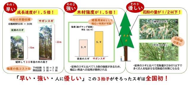 サガンスギの3つの特徴