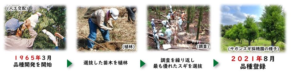 開発の歩み