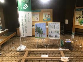 森林学習展示館のサガンスギPR展示