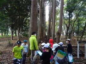 児童・生徒への森林環境教育