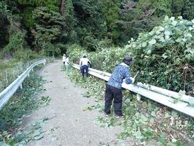 草刈り鎌を使った除草作業の様子