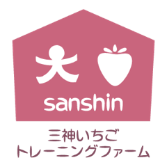 三神いちご研修生募集