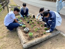 3年生が大川内山の花壇を作成する様子