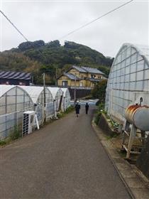 複数のハウスを見学する様子