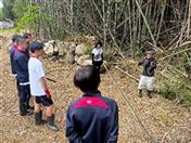 平山地区の放置竹林で竹を伐採する様子