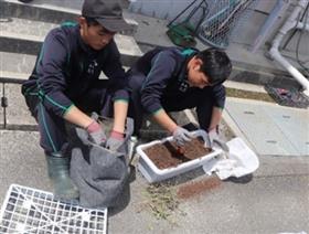 堆肥をプランターに入れる様子