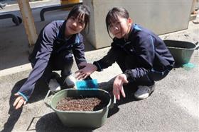 出来上がったプランター菜園