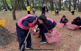 松ぼっくりを拾っている様子