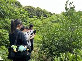 ゲンコウの生育状況をチェックする様子