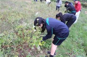 収穫の様子1枚目