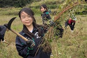 収穫の様子2枚目