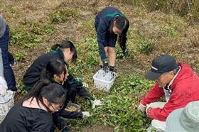 収穫の様子3枚目