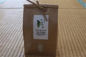 収穫後に参加者で食べた棚田米