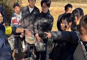 川に住む生き物の調査の様子