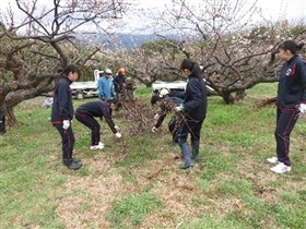 剪定枝の回収や除草作業の様子