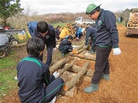 シイタケの菌打ち作業の様子