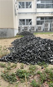 運びこまれた石