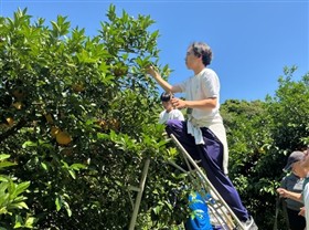 収穫している様子