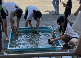 足袋を洗っている様子