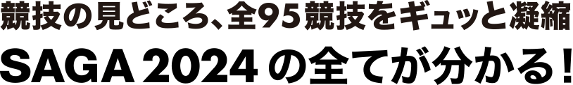 SAGA2024の全てが分かる
